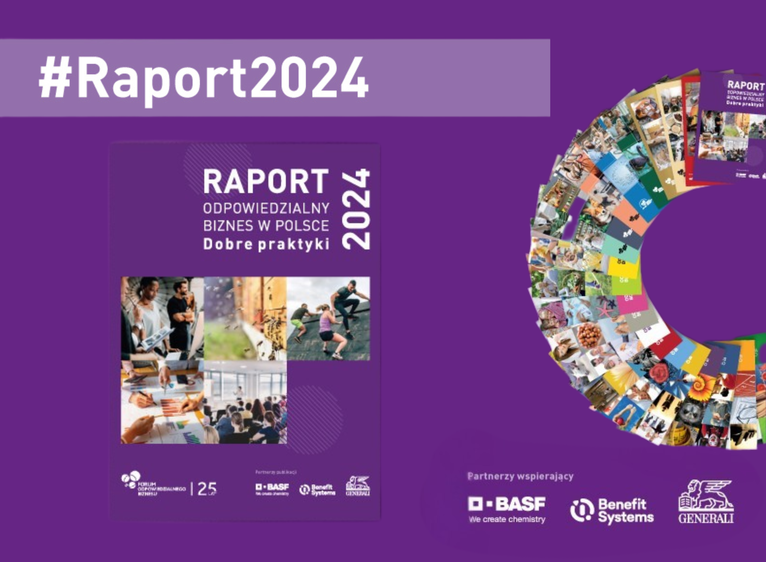 raport miniatura
